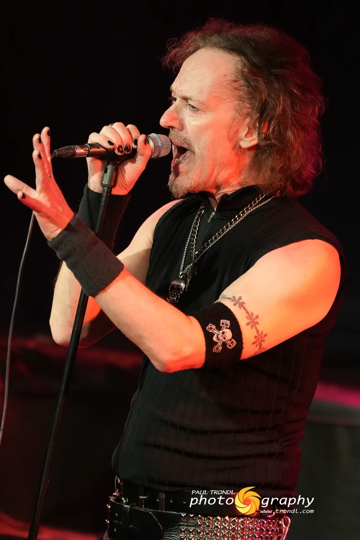 Carl Sentance Band – Reigen Konzertfoto 35