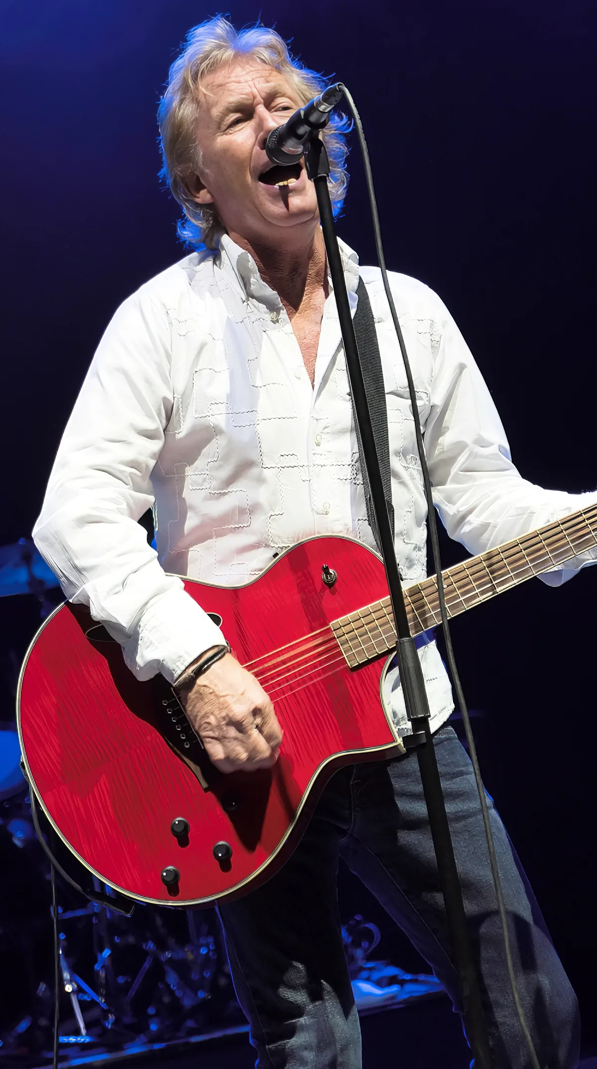 Manfred Man – Arena Nova Konzertfoto 7