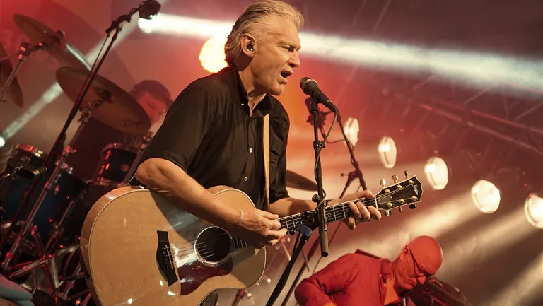Reinhard Fendrich – Stadtfest Konzertfoto 37